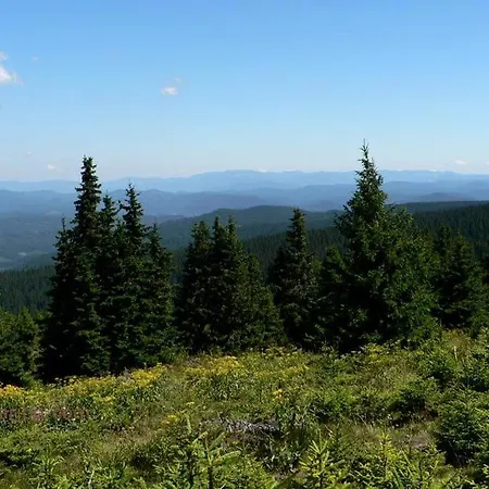 Barceló * Velingrado