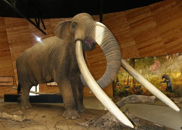 Daire Barcelo Velingrad